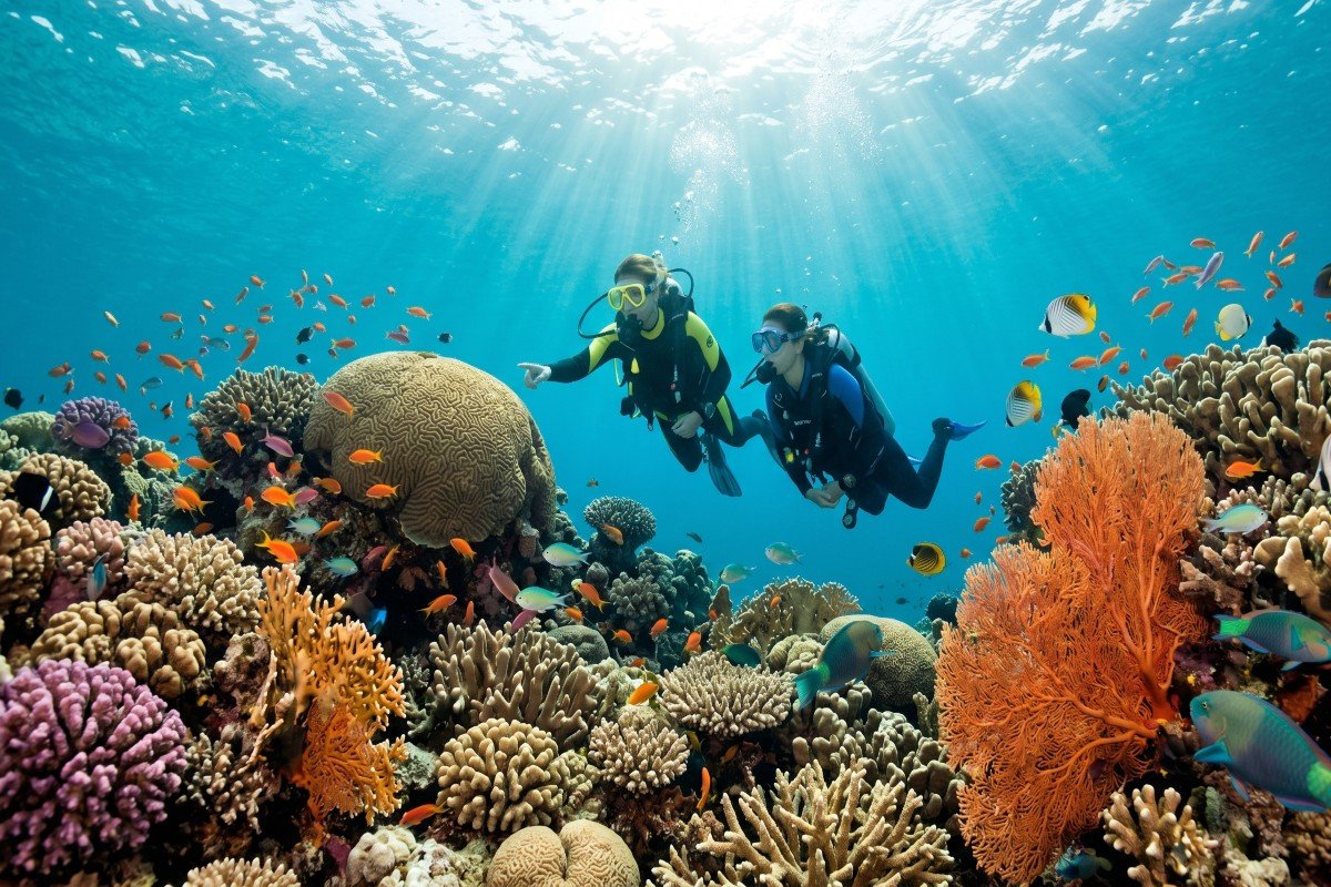 Ronjenje u Hurgadi (Diving Hurghada)