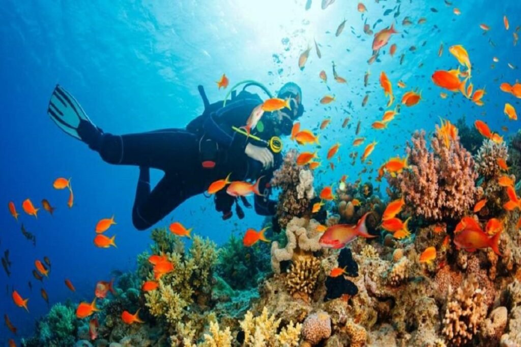 Diving Hurghada