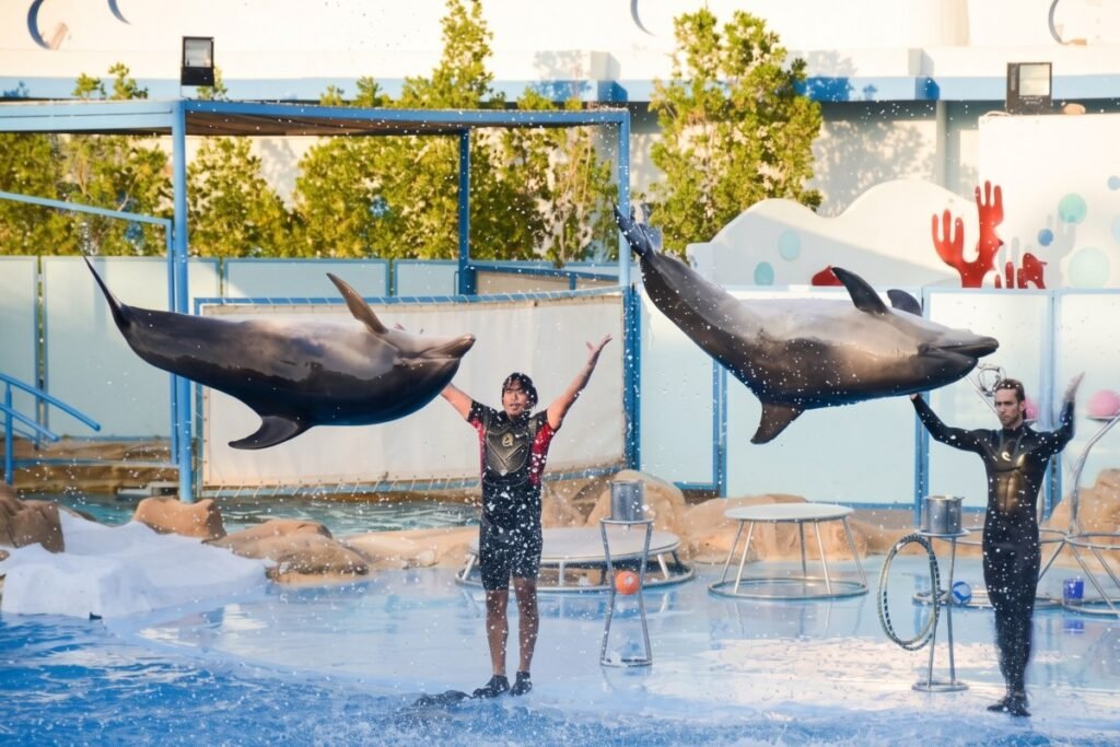 izlet delfinarium 