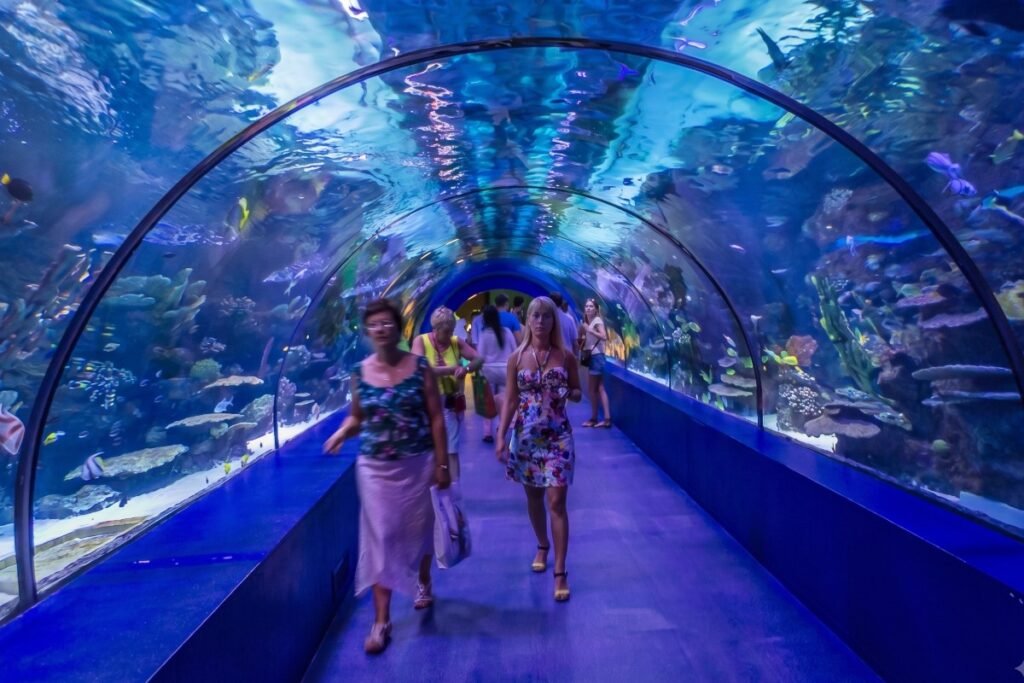 hurghada grand aquarium